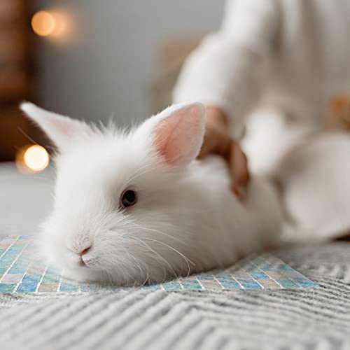 POPETPOP Almohadilla de Hielo para Hámster Pequeña Mascota Cama Fría de Verano Alfombra de Refrigeración para Hámster Pequeño Refugio de Disipación de Calor para Chinchillas Hámster