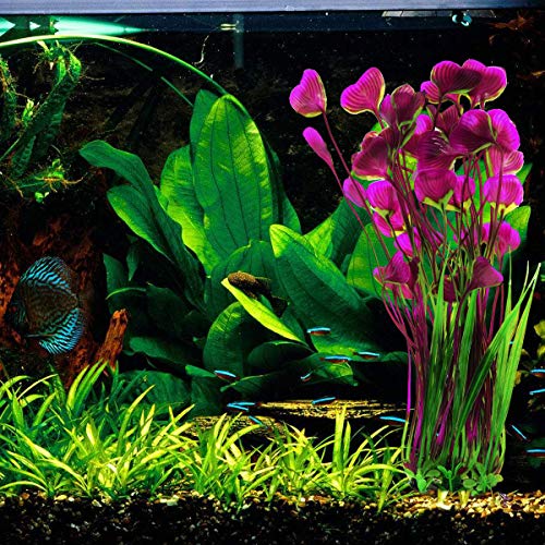 POPETPOP Decoraciones para acuarios Tanque de Peces Plantas Artificiales Plantas de Agua Amor Hierba Decoraciones para Tanques de Peces Planta de simulación vívida Acuario Paisaje (Rojo Vino)