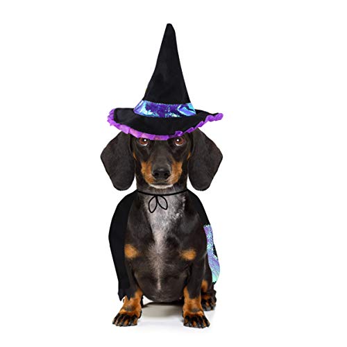 POPETPOP Ropa de Cachorro de Mascota de Halloween Bruja Cosplay Capa de Sombrero de Perro Traje para Teddy Chihuahua Yorkshire Poodle Cachorro Maltés Pug Tamaño M