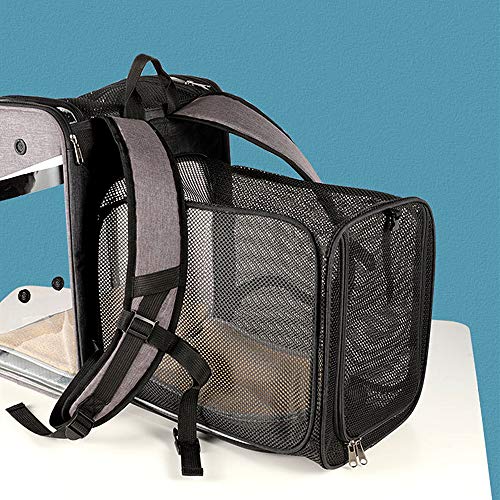 Portador de Mascota Mochila Extensible para Perro Gato 10kg, Bolsa Transporte para Viaje, Transparente Plegable Transpirable y Espaciosa con Cojín de Felpa, Transportín Aprobada por Aerolínea (Gris)