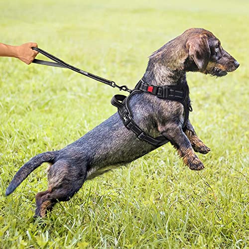 PoyPet Arnés frontal reflectante para perros con fácil control y agarre trasero perfecto para el entrenamiento diario, caminar, correr (negro, S)