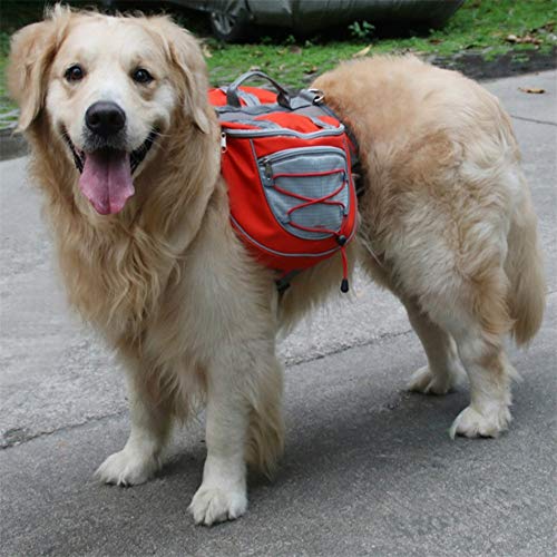 ppactvo Paquete De Alforjas para Perros Chaqueta Impermeable para Perros Ligera Y Transpirable Ideal para Exteriores Y Climas FríOs EncuadernacióN Reflectante Visible De Noche Orange,L