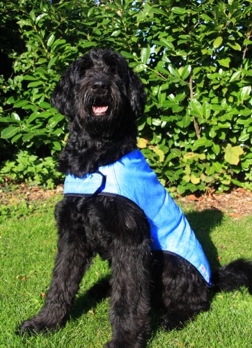 Prestige Cool Coat - Abrigo para Perros, Talla L, Color Azul