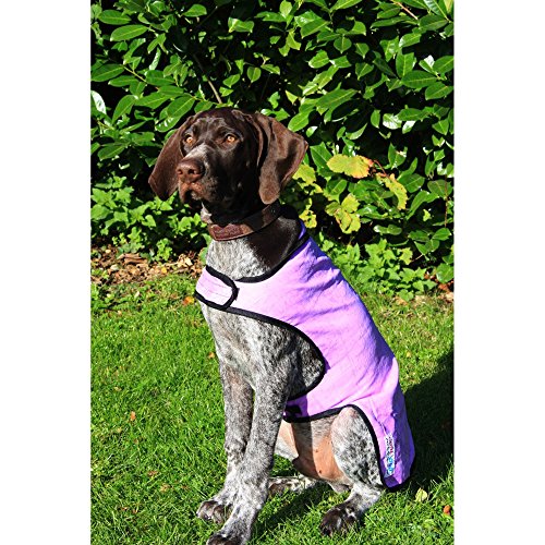 Prestige Cool Coat - Abrigo para Perros, Talla M, Color Morado