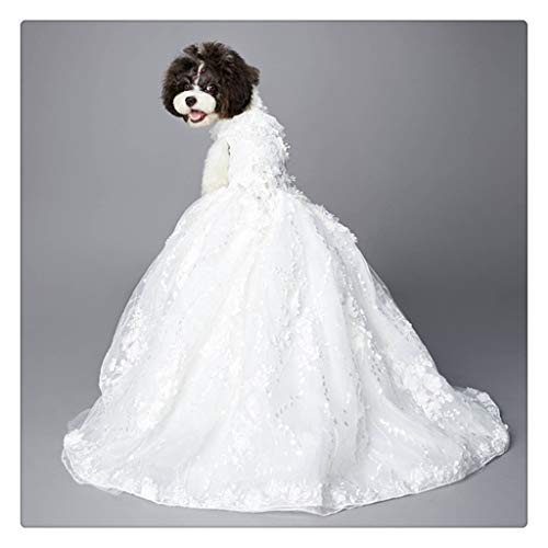 PRJEDLK Prajedlk Ropa para Perros Hecha a Mano Vestido de Novia Vestido de Princesa Falda de Fiesta de Noche de Lentejuelas Doradas Que se arrastran (Size : Medium)