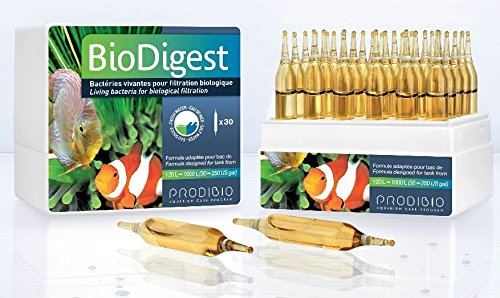 PRODIBIO BioDigest bacterias vivas para filtración biológica peces frescos arrecifes marinos de coral SPS LPS tratamiento de tanques salados