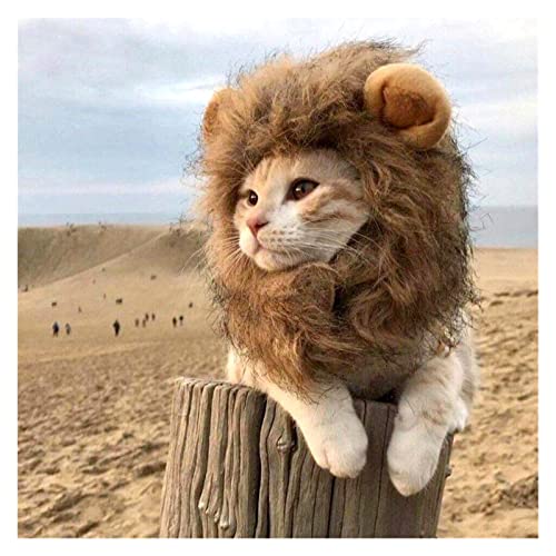 Productos para mascotas Lindo león maneja gato peluca mascota pequeño perro gatos traje león lion made peluca gorra sombrero para perros gato traje de lujo cosplay juguete suministros para mascotas