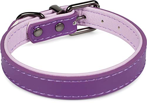 Puccybell Collar para perro de 2 colores con piel, clásico en colores de contraste para perros pequeños, medianos y grandes, HB004 (S, morado)