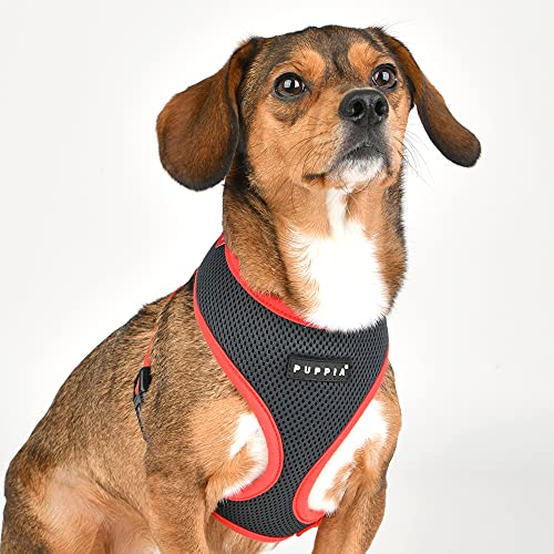 Puppia Soft Harness II - Arnés para Perros Muy Suave