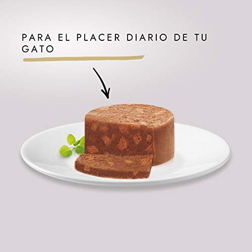 Purina Gourmet Gold Tarrine comida para gatos con Salmón 24 x 85 g