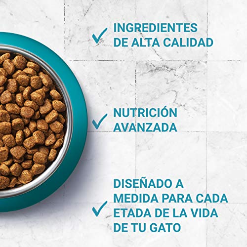 PURINA ONE Bifensis Pienso para Gato Adulto Salmón y Cereales 8 x 800 g