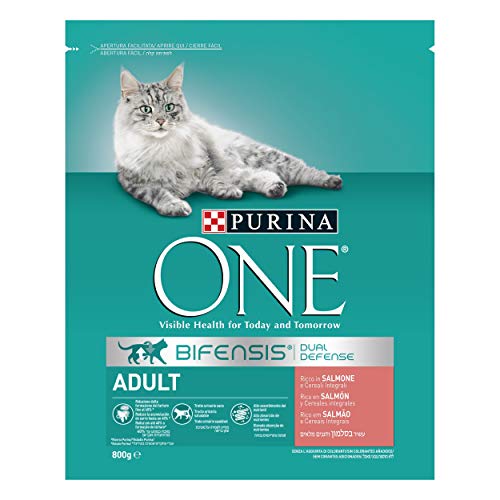 PURINA ONE bifensis pienso Peri el Gato Adulto, Ricco de salmón y Cereales integrales, 800 g