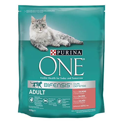 PURINA ONE bifensis pienso Peri el Gato Adulto, Ricco de salmón y Cereales integrales, 800 g