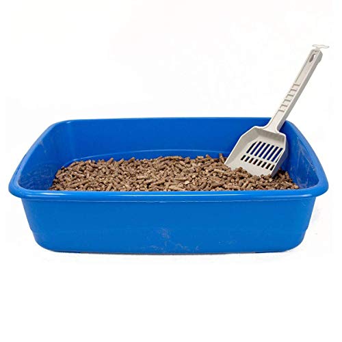 Purrfetto Arena para Gatos Pellet - 100% Biodegradable 100% - Vegetales - También para Conejos Enanos, pájaros y roedores (5 kg - 1 Bolsa)