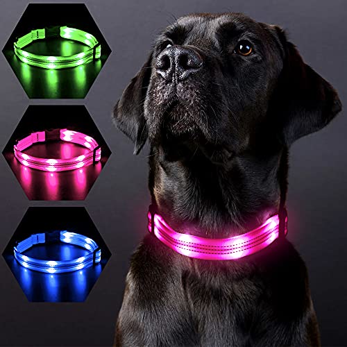 PZRLit Collar Luminoso Perro Recargable con 3 Modos de iluminación Collar Luz Perro Noche de Seguridad, Ajustable para Cachorros Pequeños, Medianos y Grandes Collar LED Perro Luminoso-Rosado,Medio