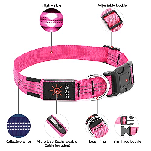 PZRLit Collar Luminoso Perro Recargable con 3 Modos de iluminación Collar Luz Perro Noche de Seguridad, Ajustable para Cachorros Pequeños, Medianos y Grandes Collar LED Perro Luminoso-Rosado,Medio