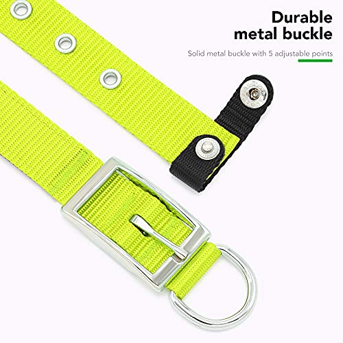 PZRLit Collar Perro Resistente con Suave Acolchado Neopreno, Hebilla de Metal y Anillo en D, Ajustable Transpirable Collares Perros Ancho para la Caminata Diaria Corriendo-Verde,Ultra Grande