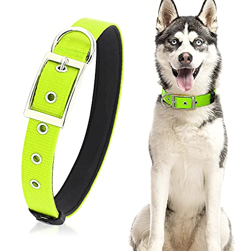 PZRLit Collar Perro Resistente con Suave Acolchado Neopreno, Hebilla de Metal y Anillo en D, Ajustable Transpirable Collares Perros Ancho para la Caminata Diaria Corriendo-Verde,Ultra Grande