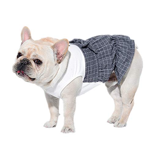 PZSSXDZW Ropa para Mascotas Vestido de Perro Ropa de Primavera y Verano 2019. Vacaciones, Fiestas, Festivales, Ocasiones,Grey,XL