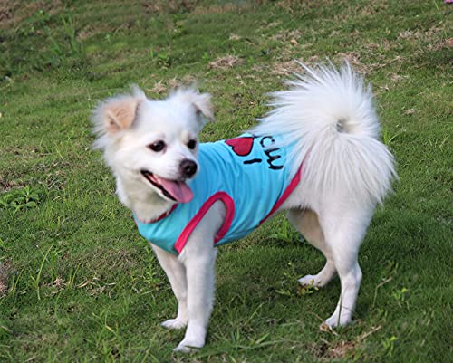 QiCheng & LYS Camiseta para Perros de 3 Piezas, Chaleco Deportivo para Perros, Suave y Transpirable Adecuado para Perros pequeños y medianos (3 Piezas Rosado/Azul/Naranja, XXL)