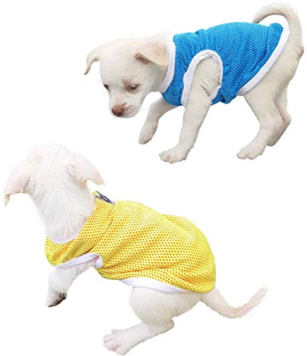 QiCheng & LYS Camisetas Perros pequeños, Camisetas para Perritos, Suave y Transpirable Adecuado para Perros pequeños y medianos (Azul/Amarillo, S)