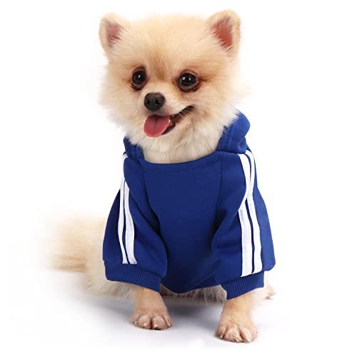 QiCheng&LYS Dog Hoodie,Jersey Perros,Sudadera Perro Ropa ParaCachorros, Sudadera para Chihuahua Cómodo Y Cálido (Azul Marino, Large)