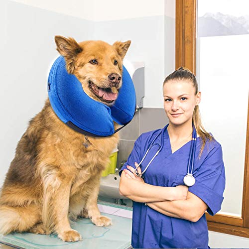 Qiraoxy Protector Suave Collar Inflable para Mascotas Perro Gato Protección de Curación de Heridas Collar de Seguridad para Mascotas Anti Mordedura Tela Exterior de Gamuza Cono para Gato