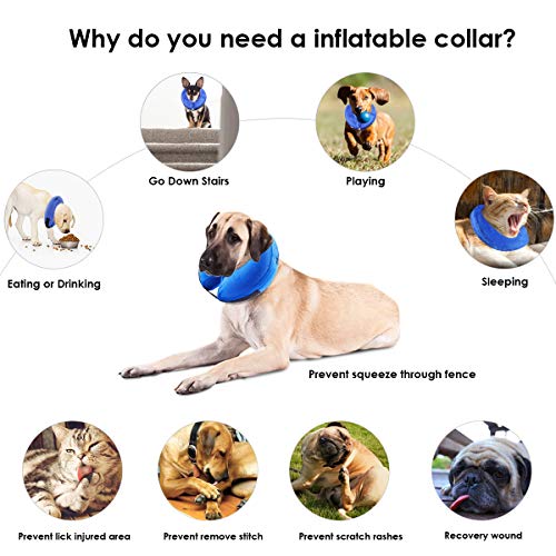 Qiraoxy Protector Suave Collar Inflable para Mascotas Perro Gato Protección de Curación de Heridas Collar de Seguridad para Mascotas Anti Mordedura Tela Exterior de Gamuza Cono para Gato