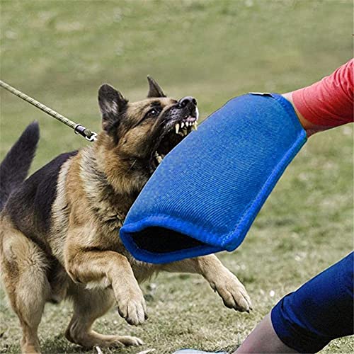 QIXIAOCYB Mangas de mordida para Perros Mascotas Tugs Toy Bray Protection Manga para Malinois Pitbull Pastor alemán Suministros de Entrenamiento al Aire Libre Pad Morder (Color : C)