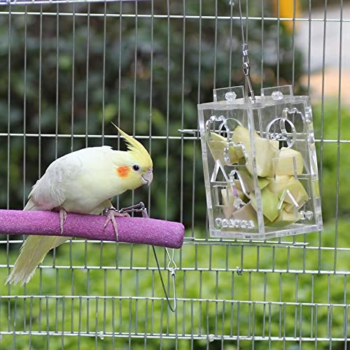 Quance Parrot Toys - Juguete educativo para loros y loros de madera para loros pequeños y medianos