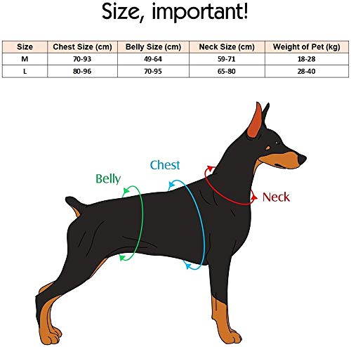 QYHSS Mochila Arnés para Perro Mascota Mediano y Grande, Bolsa Sillín Portador Impermeable, Alforja Ajustable Tira, para Perro Mediano Grande Paquete Perro Viajar Cámping al Aire Libre (Naranja)