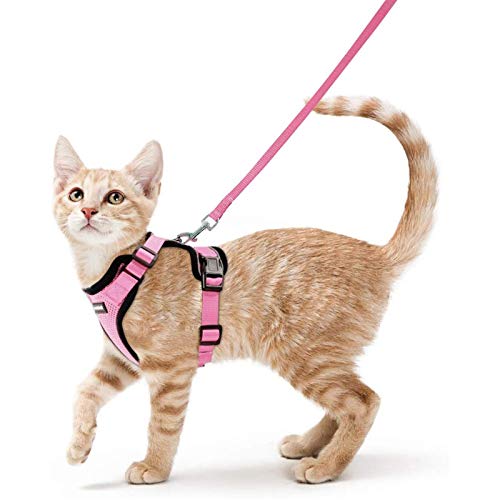 rabbitgoo Arnes Gato Antiescape,Arnés para Gato con Correa 150cm Arnes Gato Ajustable con Reflectantes de Tela de Malla Suave y Transpirable para Caminar,Entrenar,Gato Mediano y Pequeño XS Rosado