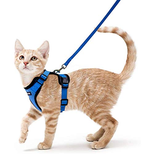 rabbitgoo Arnes Gato Antiescape,Arnés para Gato con Correa 150cm Arnes Gato Ajustable con Reflectantes de Tela de Malla Suave y Transpirable para Caminar,Entrenar,Gato Mediano y Pequeño XS Azul