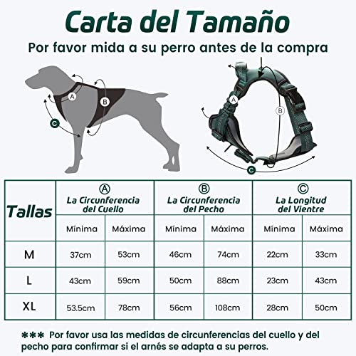 rabbitgoo Arnes Perros Arnés Chaleco Antitirones para Perros Grandes y Medianos con Correas Elásticas para Absorber Golpes Ajustable para Caminar con Asa de Fácil Control Reflectante, Verde Olivo XL