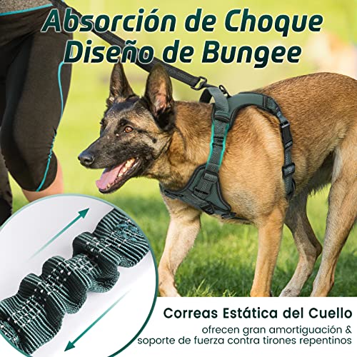 rabbitgoo Arnes Perros Arnés Chaleco Antitirones para Perros Grandes y Medianos con Correas Elásticas para Absorber Golpes Ajustable para Caminar con Asa de Fácil Control Reflectante, Verde Olivo XL