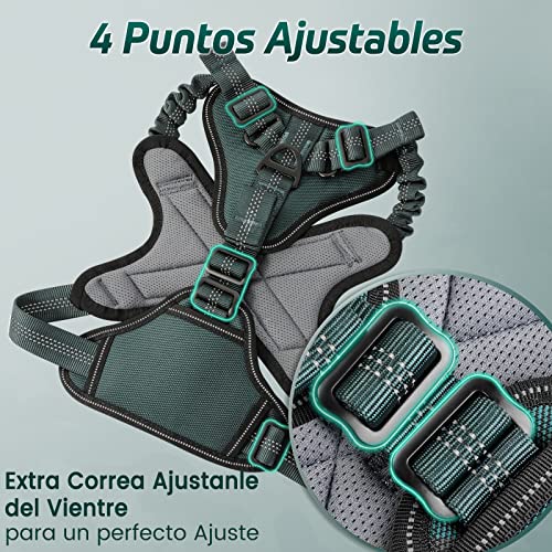 rabbitgoo Arnes Perros Arnés Chaleco Antitirones para Perros Grandes y Medianos con Correas Elásticas para Absorber Golpes Ajustable para Caminar con Asa de Fácil Control Reflectante, Verde Olivo XL