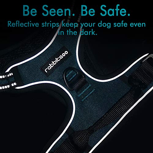 rabbitgoo Arnes Perros Grande Mediano Pequeño Arnés Pecho Antitirones Perros Coche con Lineas Reflectantes Cómodo Transpirable Chaleco Acolchado Ajustable para Adiesreamiento Tamaño M Verde Oscuro