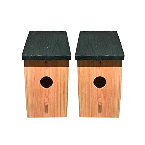 Ram© 2 x Caja de Madera para Nido de pájaros, casa de pájaros pequeños, pajaritos, pajaritos, pajaritos, gorrión, pajaritos