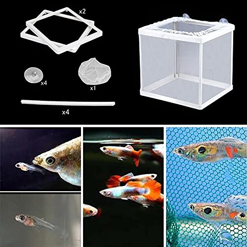 Rayong 2 pcs Caja de cría de Peces, Incubadora de Peces de Acuario, Multifuncional Pecera de Acuario Caja de Cría, para Todo Tipo de Acuarios Agua FríA Peces Tropicales y Marinos