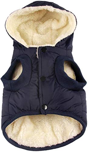 RC GearPro - Chaqueta de invierno acolchada de algodón para perros, gatos y cachorros pequeños, medianos y grandes - Chaleco con capucha