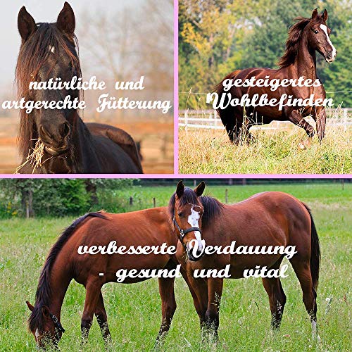 Red de heno para caballos extrafina, malla de 3,5cm, mosquetón gratis, alimentación adecuada, digestión mejorada de los animales, heno, hierba, paja, red para heno, negro, capacidad aproximada 6kg