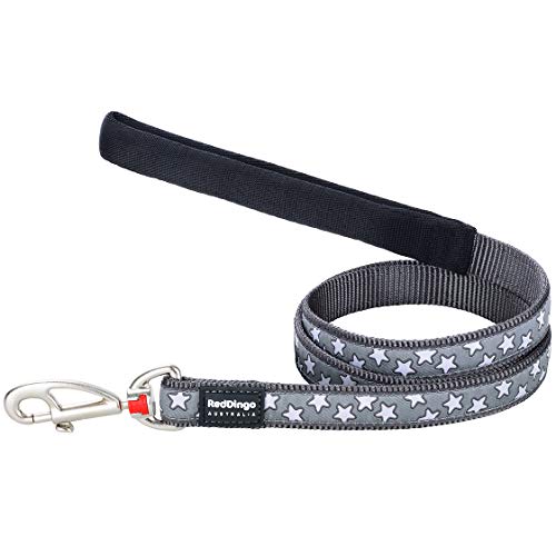 Red Dingo White Star On Grey - Correa para Perro (20 mm x 1,2 m), Color Blanco (L4-ST-GY-20)