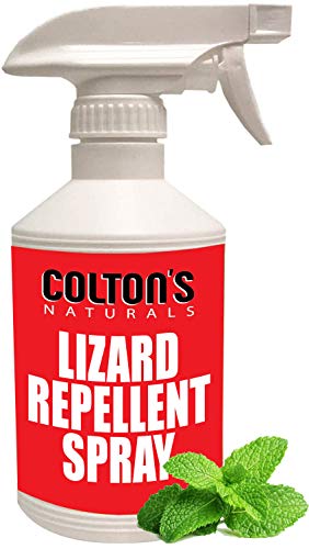 Repelente de lagarto de 947 ml en spray 100% natural Gecko reptil disuasorio exterior o interior