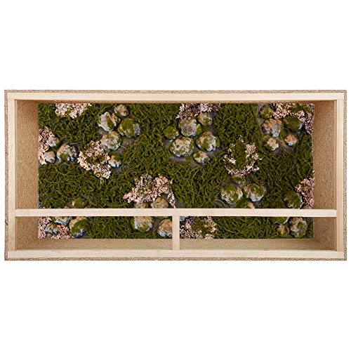 REPITERRA Terrario de pared posterior en 3D, fondo decorativo, aspecto natural, 116 x 58 cm para terrarios de 120 x 60 cm