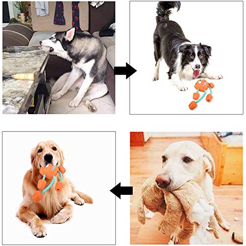 Ritte Juguete para Perros, Juguetes para Masticar Perros, Juguete para Perros Chillones, Juguete de Entrenamiento Intensivo de Goma Duradero Multifunción para Grandes Medianos Pequeños Perros