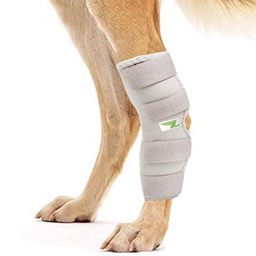 RockPet Órtesis Curadora Articulación Pata Trasera de Perro Envoltura Canina de Corvejón (M, Gris)