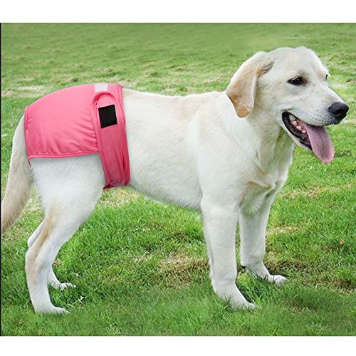 Ropa interior para perros Pantalones sanitarios reutilizables de algodón para mascotas, pantalones transpirables para cachorros, pantalones fisiológicos, ropa interior (rosa, mediano)