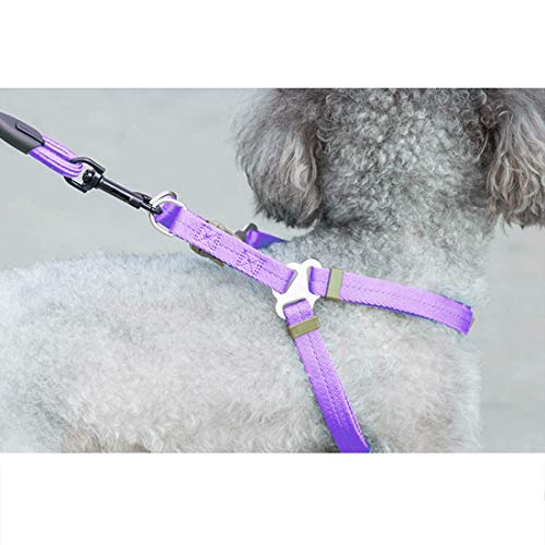 Ropa para Mascotas Pet Dog Collar arnés Correa Tres Conjuntos, L, arnes Pecho tamaño: 57-90cm, Collar Cuello tamaño: 40-64cm, Pet Peso: 35 kg de Abajo Juguetes de formación (Color : Púrpura)