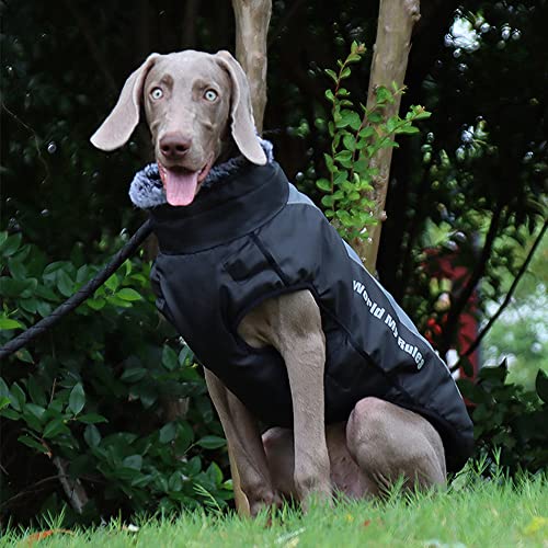 Ropa para perros grandes, chubasquero a la moda, reflectante, resistente al viento, chaleco de invierno, abrigo de invierno, ropa para perros, climas fríos, ropa para perros, color gris, 5XL