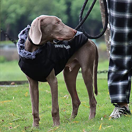 Ropa para perros grandes, chubasquero a la moda, reflectante, resistente al viento, chaleco de invierno, abrigo de invierno, ropa para perros, climas fríos, ropa para perros, color gris, 5XL